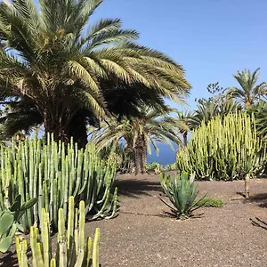 https://club-marazul.in-canary-islands.com